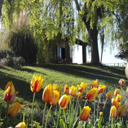 Agriturismo Quartopodere Magliano in Toscana Dış mekan fotoğraf