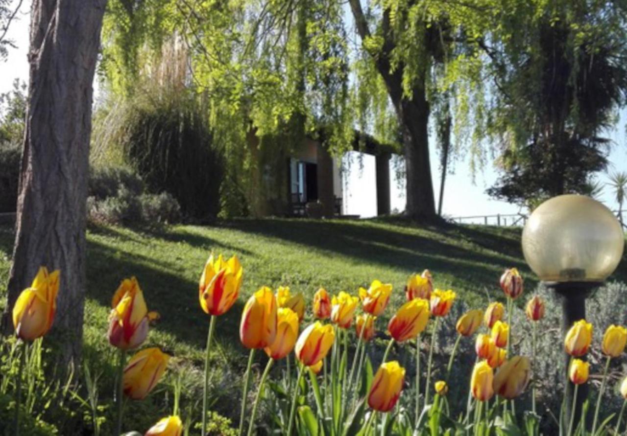 Agriturismo Quartopodere Magliano in Toscana Dış mekan fotoğraf