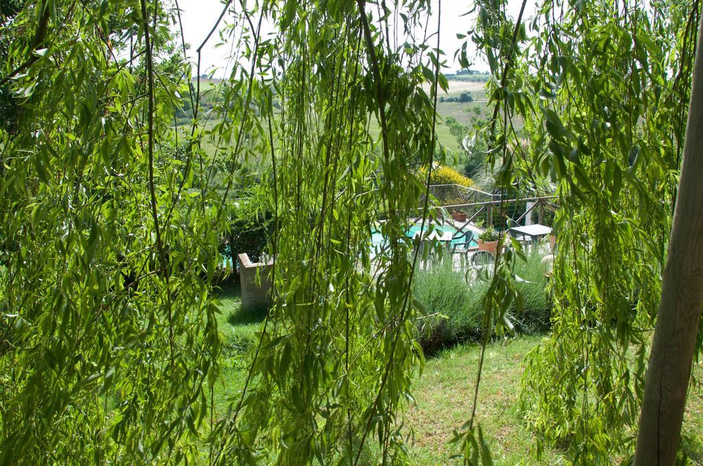 Agriturismo Quartopodere Magliano in Toscana Dış mekan fotoğraf