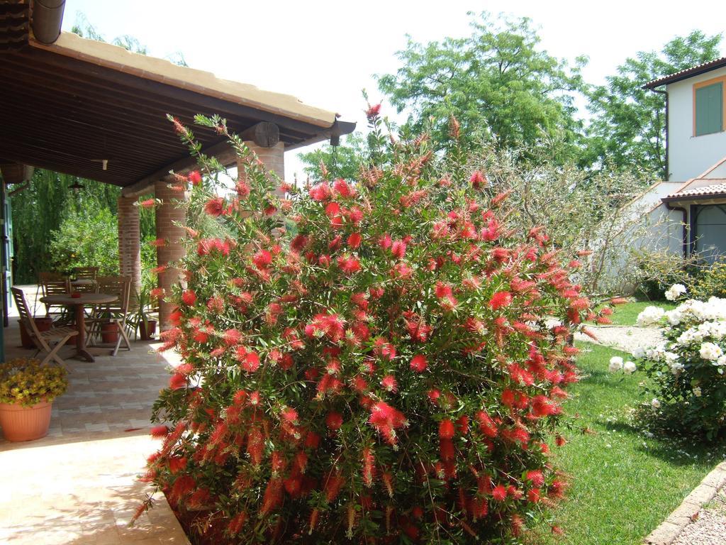 Agriturismo Quartopodere Magliano in Toscana Dış mekan fotoğraf